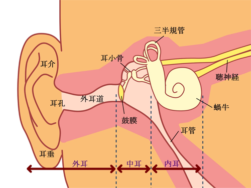 老人難聴とは