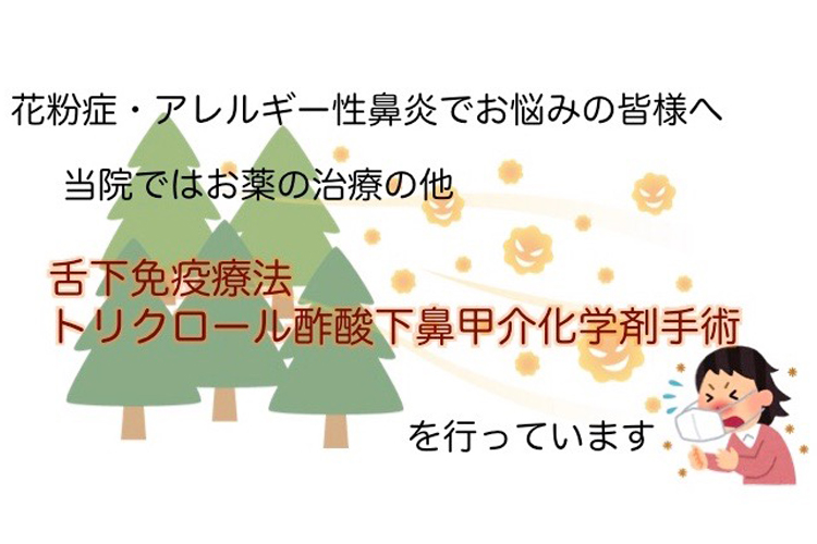 わたなべ耳鼻科の「舌下免疫療法トリクロール酢酸下鼻甲介化学剤手術」